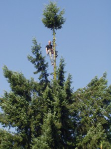 vyskove prace plzen_70