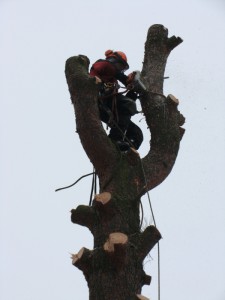 vyskove prace plzen_84