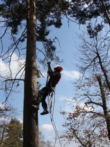 vyskove prace plzen_85