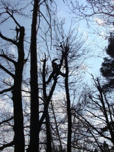 vyskove prace plzen_86