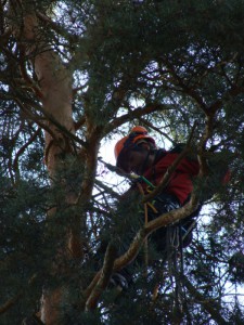 vyskove prace plzen_87